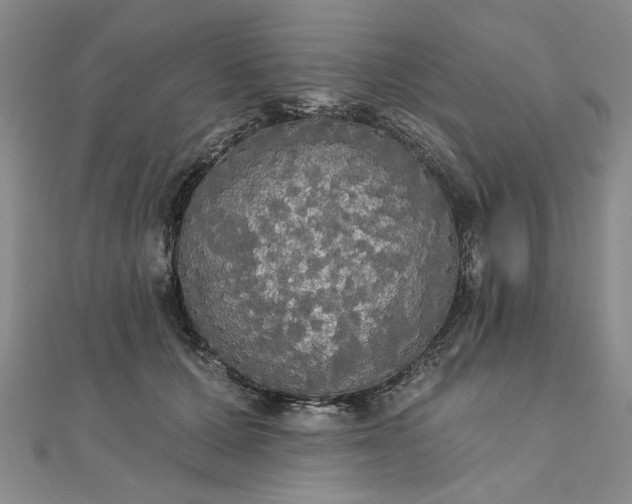 X0000111910607200908031139