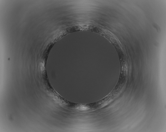 X0000111910610200908031139