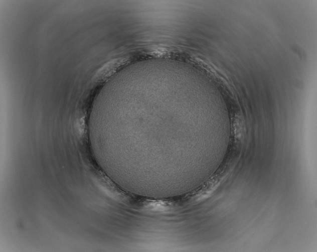 X0000111910611200908031139
