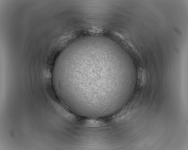 X0000111910614200908031139