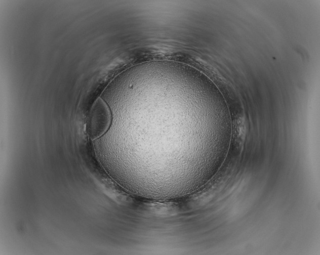 X0000111910615200908031139
