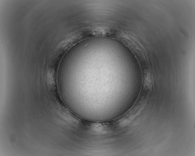 X0000111910616200908031139