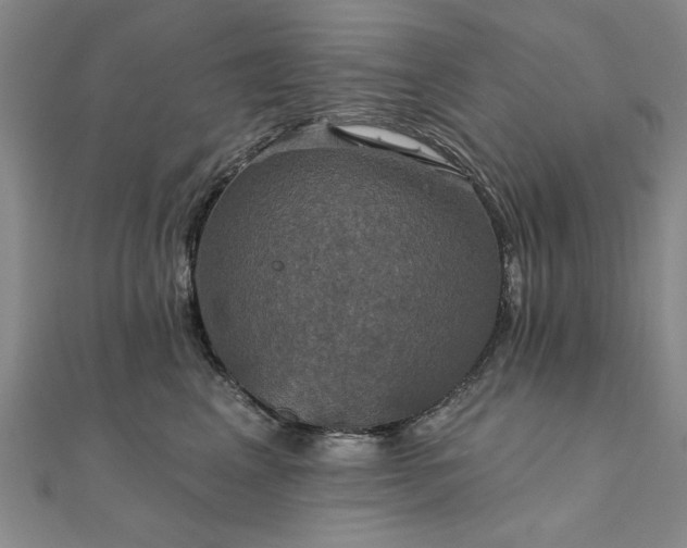 X0000111910617200908031139