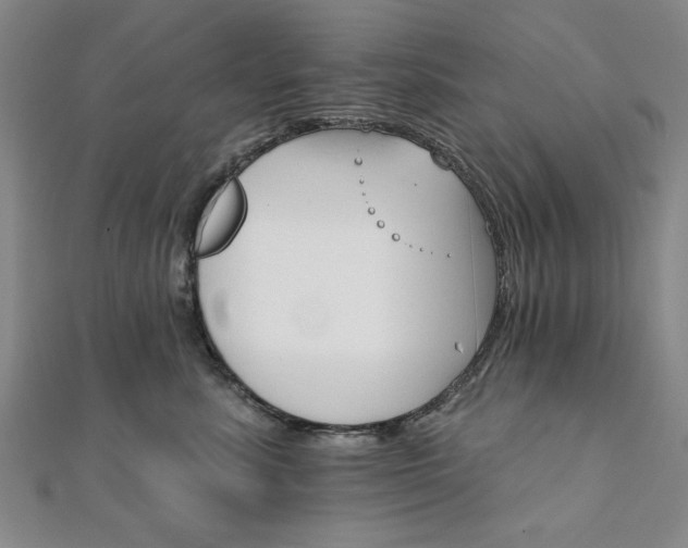 X0000111910619200908031139
