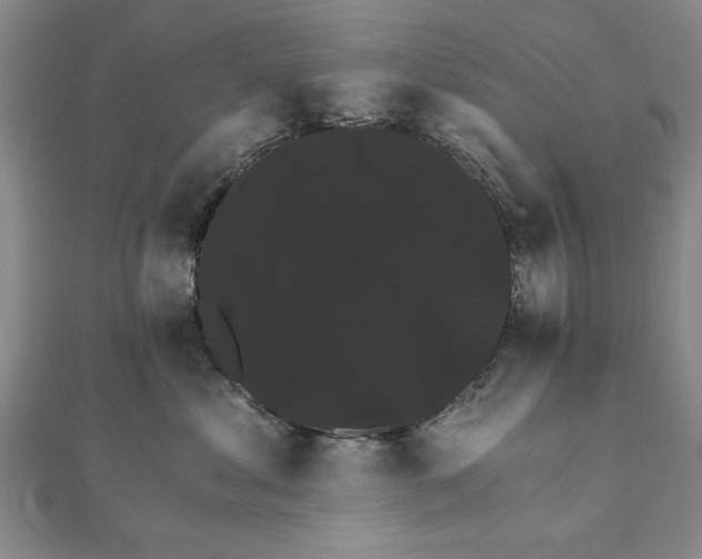 X0000111910621200908031139