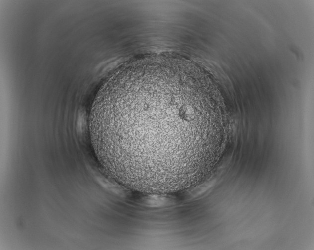X0000111910623200908031139