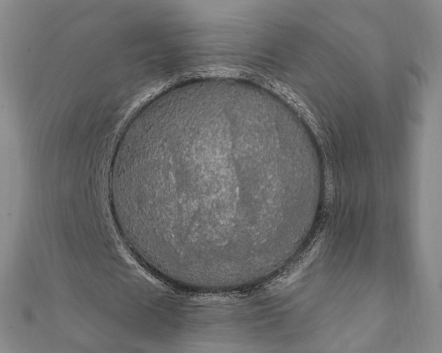 X0000111910625200908031138
