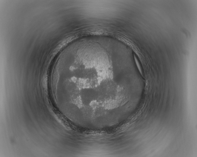 X0000111910626200908031138