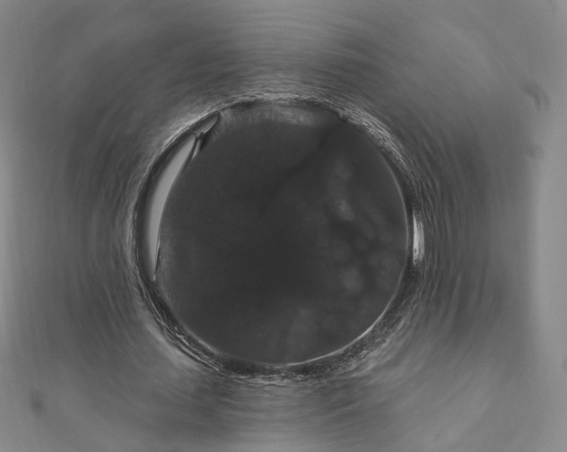 X0000111910627200908031138