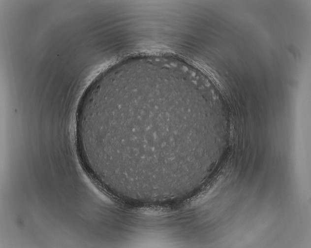 X0000111910630200908031138