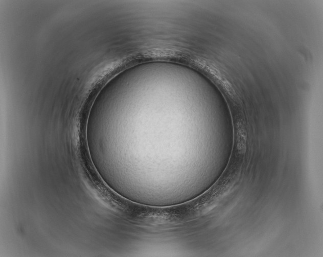 X0000111910631200908031138