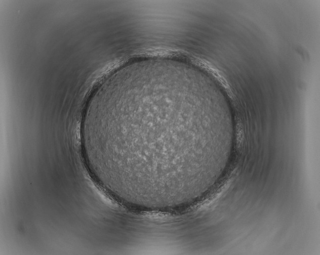 X0000111910633200908031138
