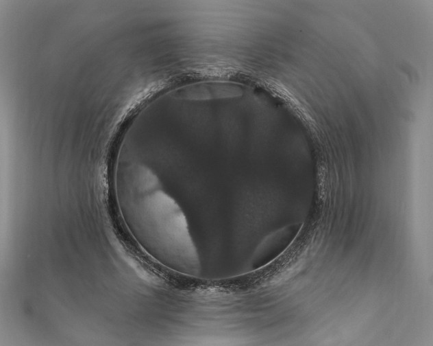 X0000111910634200908031138