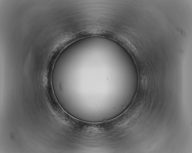 X0000111910635200908031138