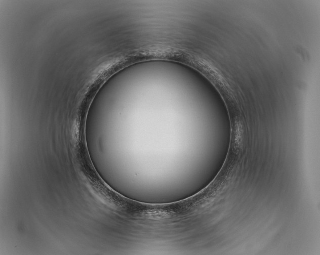 X0000111910636200908031138