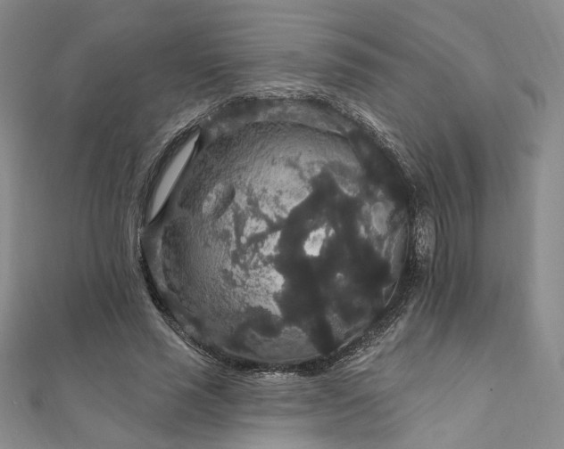 X0000111910637200908031138
