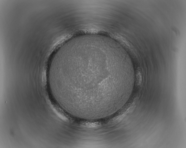 X0000111910638200908031138