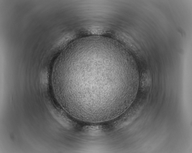X0000111910639200908031138