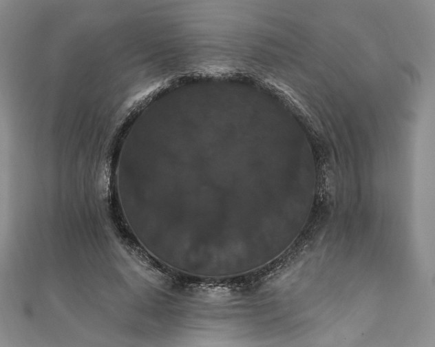 X0000111910640200908031138