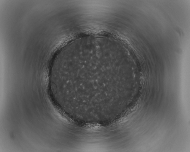 X0000111910642200908031138