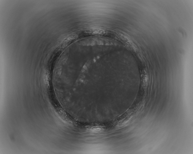 X0000111910643200908031138