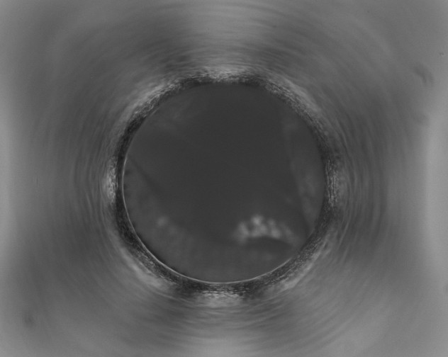 X0000111910644200908031138