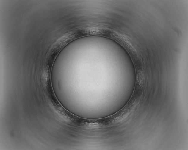 X0000111910645200908031138