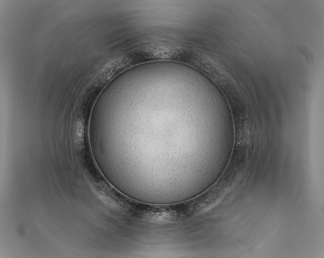 X0000111910646200908031138