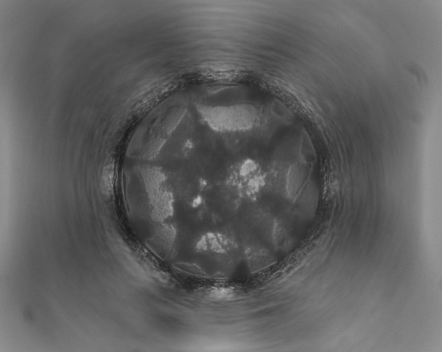X0000111910647200908031138