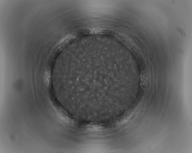 X0000111910648200908031138