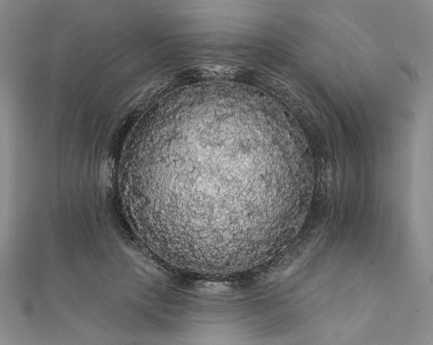 X0000111910649200908031138