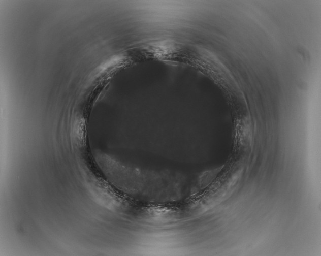 X0000111910650200908031138