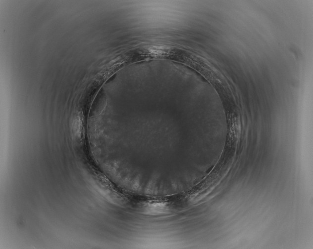 X0000111910651200908031138
