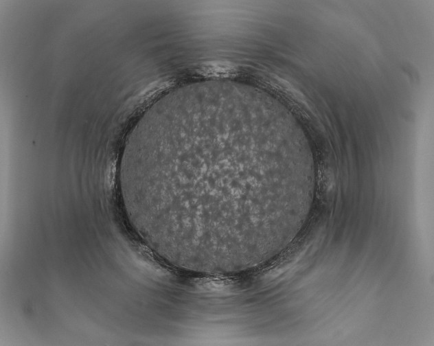 X0000111910652200908031138