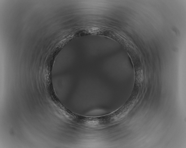 X0000111910653200908031138