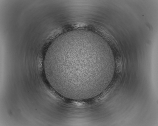 X0000111910654200908031138