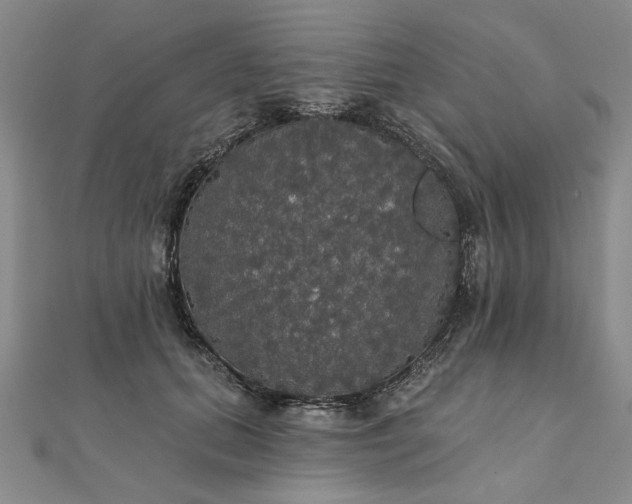 X0000111910655200908031138