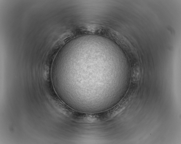 X0000111910656200908031138