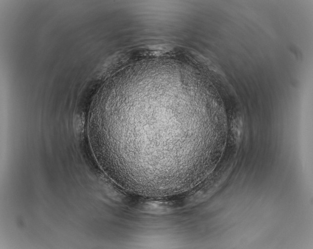 X0000111910657200908031138