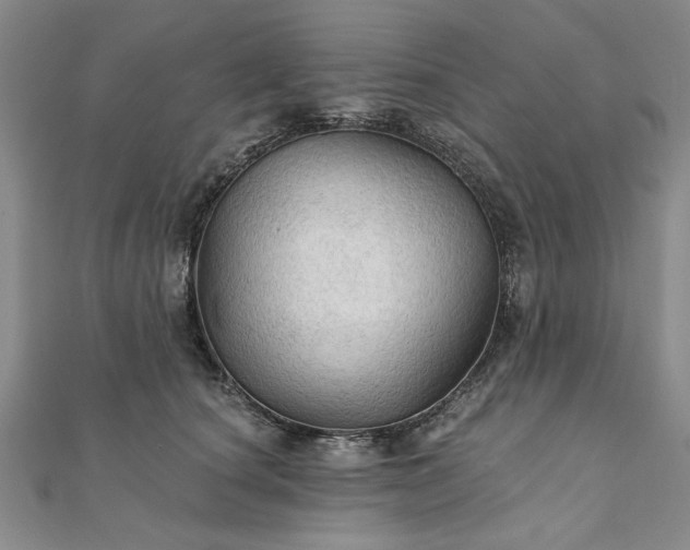 X0000111910660200908031138