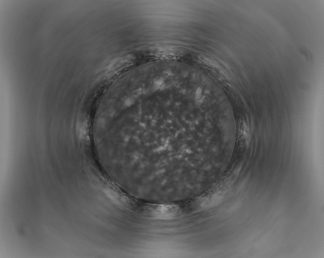 X0000111910663200908031138