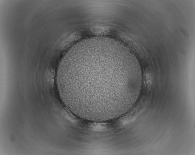X0000111910664200908031138