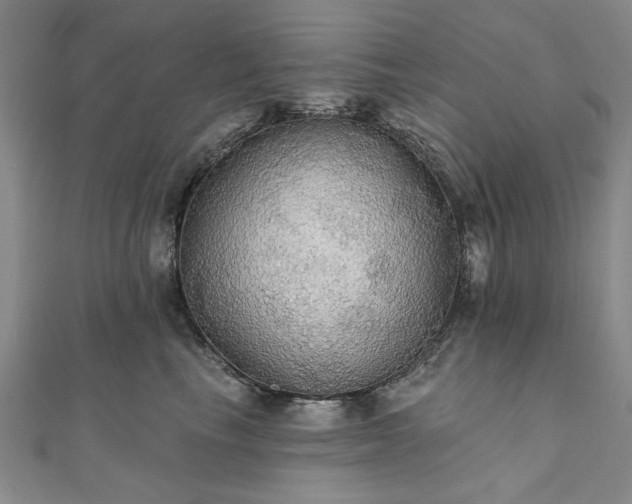 X0000111910665200908031138