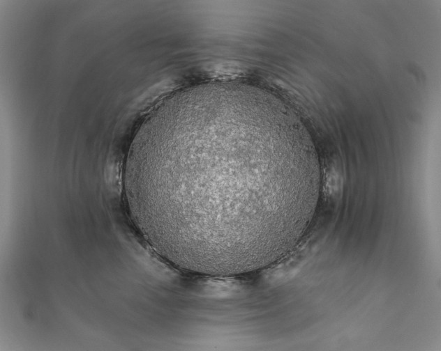 X0000111910666200908031138