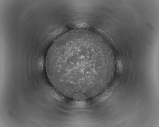 X0000111910668200908031139