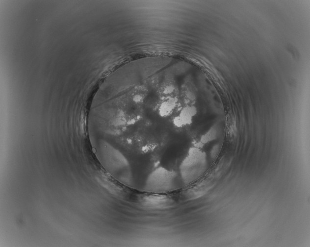 X0000111910669200908031139