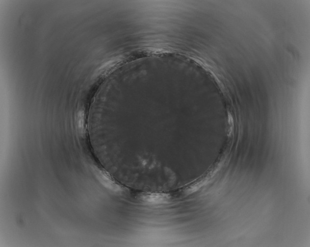 X0000111910670200908031139