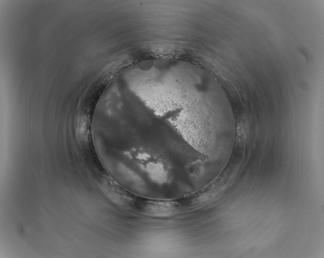 X0000111910671200908031139