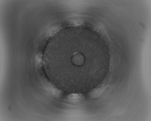 X0000111910672200908031139