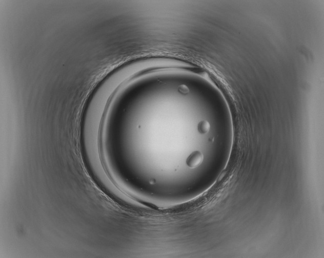 X0000111910673200908031138